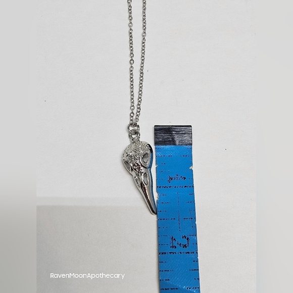3/15$ Bundle Deal New Raven/Crow Necklace - Picture 4 of 5